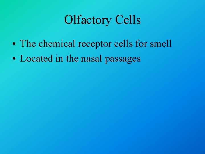 Olfactory Cells • The chemical receptor cells for smell • Located in the nasal
