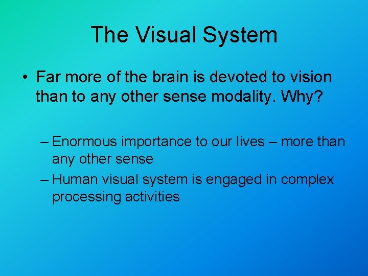 The Visual System • Far more of the brain is devoted to vision than