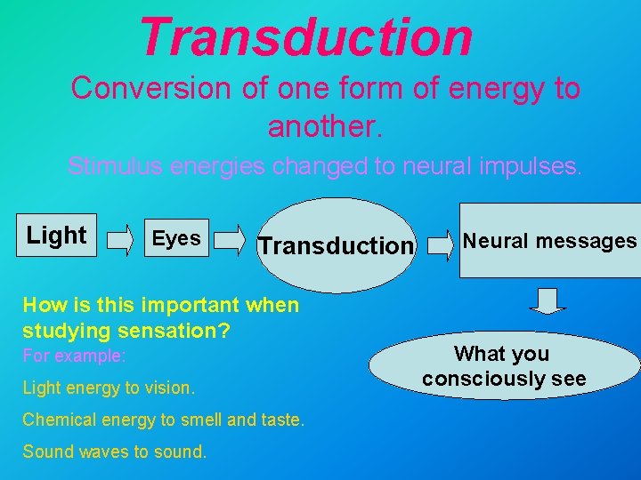 Transduction Conversion of one form of energy to another. Stimulus energies changed to neural