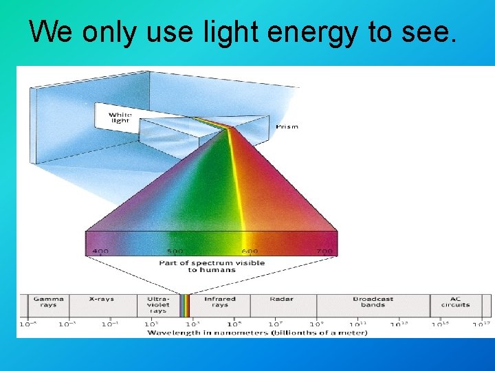 We only use light energy to see. 