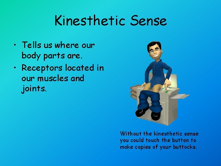Kinesthetic Sense • Tells us where our body parts are. • Receptors located in
