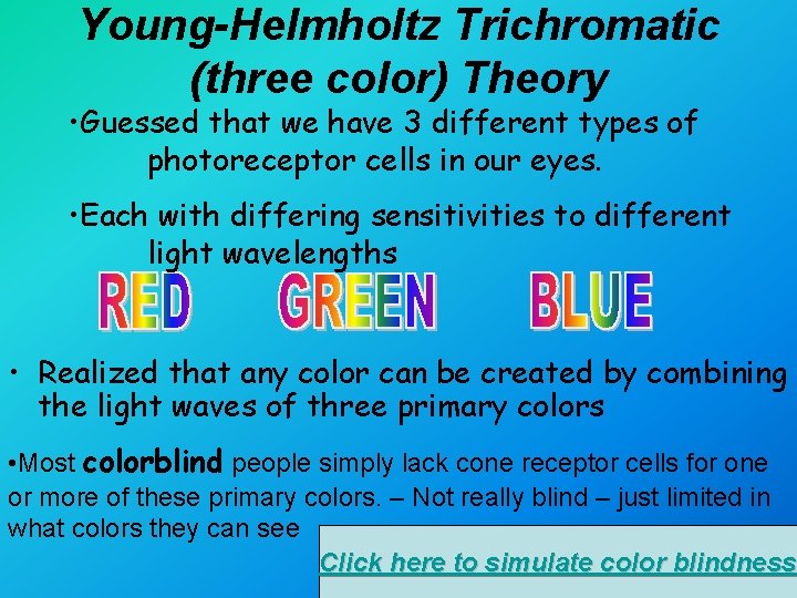 Young-Helmholtz Trichromatic (three color) Theory • Guessed that we have 3 different types of