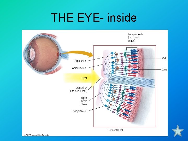 THE EYE- inside 