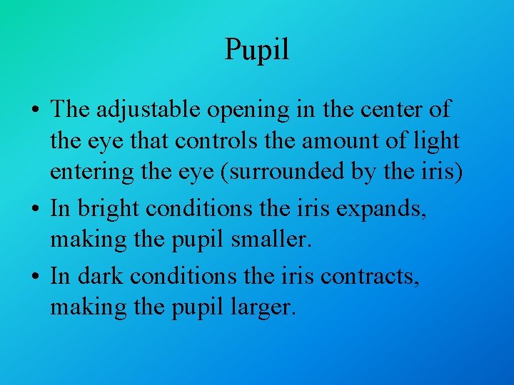 Pupil • The adjustable opening in the center of the eye that controls the