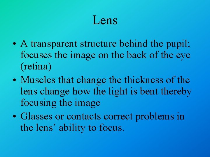 Lens • A transparent structure behind the pupil; focuses the image on the back