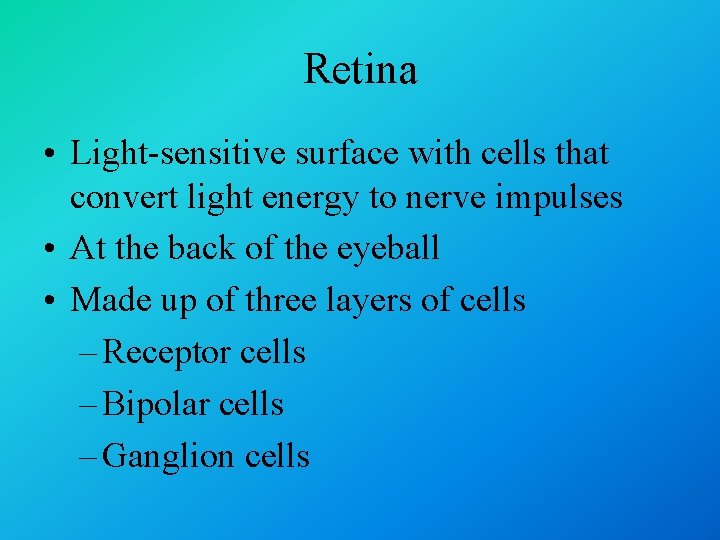 Retina • Light-sensitive surface with cells that convert light energy to nerve impulses •