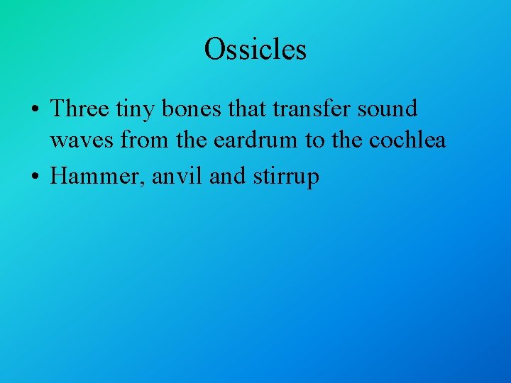 Ossicles • Three tiny bones that transfer sound waves from the eardrum to the