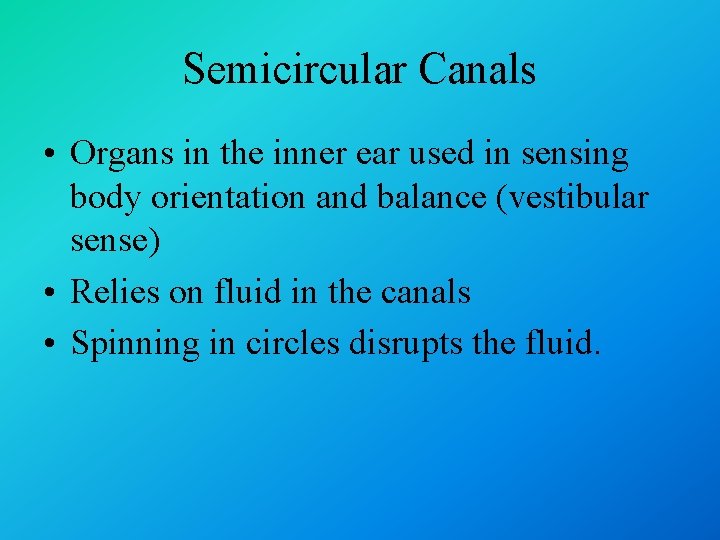Semicircular Canals • Organs in the inner ear used in sensing body orientation and