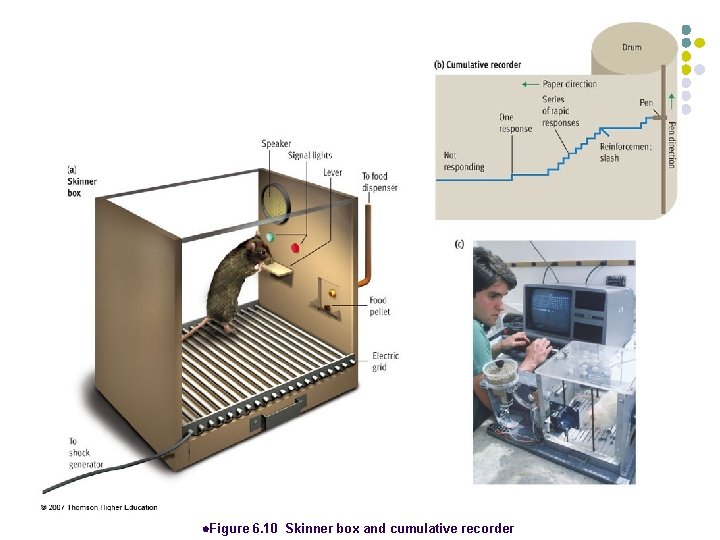 l. Figure 6. 10 Skinner box and cumulative recorder 