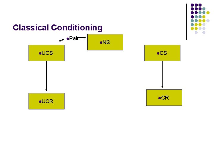 Classical Conditioning l. Pair l. UCS l. UCR l. NS l. CR 