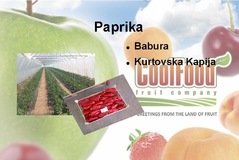 Paprika Babura Kurtovska Kapija 