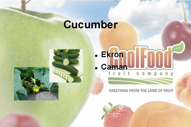 Cucumber Ekron Caman 