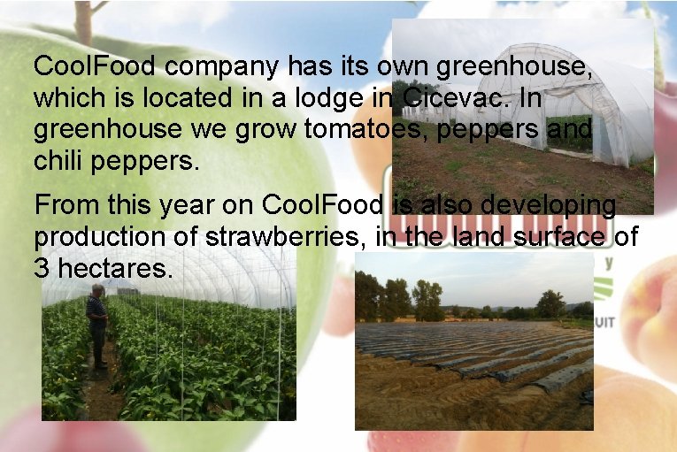 Cool. Food company has its own greenhouse, which is located in a lodge in