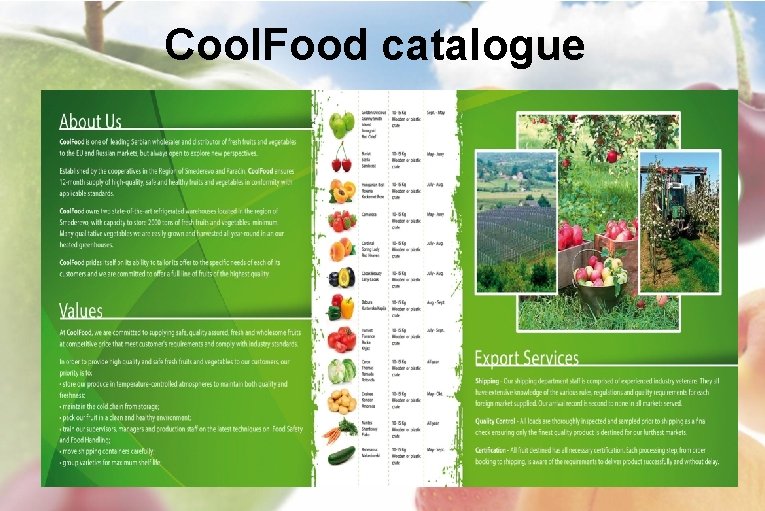 Cool. Food catalogue 