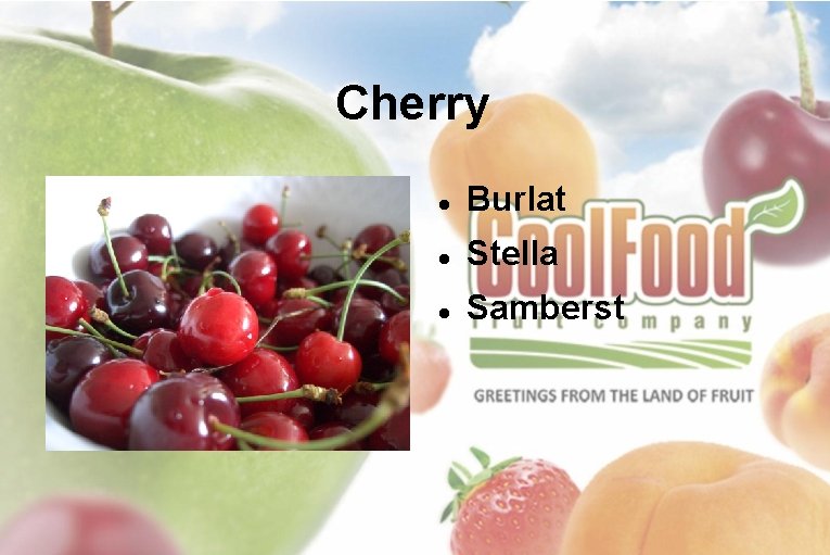 Cherry Burlat Stella Samberst 