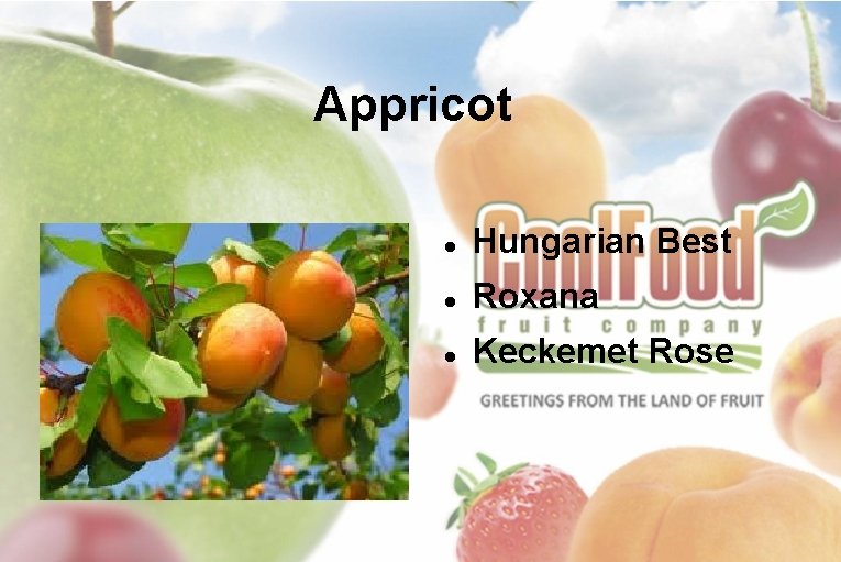 Appricot Hungarian Best Roxana Keckemet Rose 