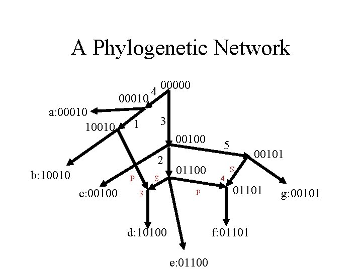 A Phylogenetic Network 00010 a: 00010 10010 00000 4 3 1 00100 2 b: