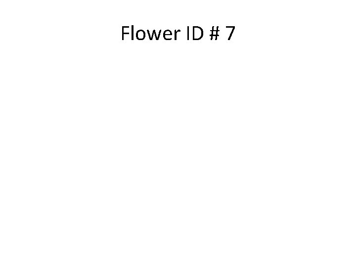 Flower ID # 7 