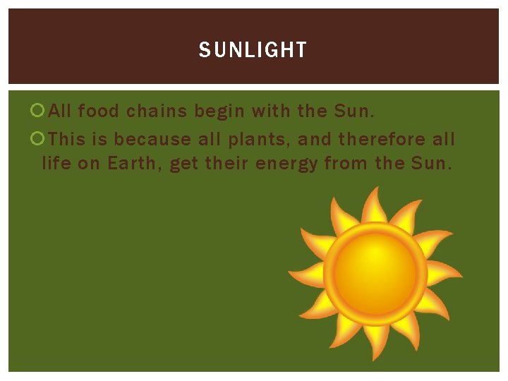 SUNLIGHT All food chains begin with the Sun. This is because all plants, and