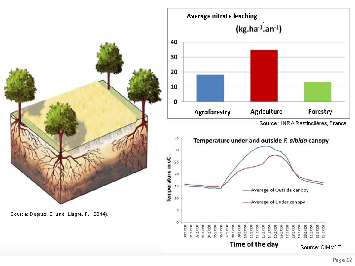 Average nitrate leaching Agroforestry Agriculture Forestry Source : INRA Restinclières, France Source: Dupraz, C.