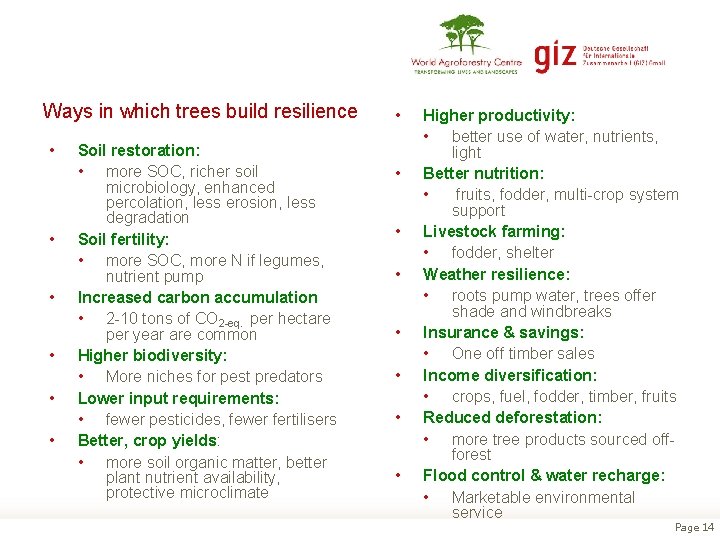 Ways in which trees build resilience • • • Soil restoration: • more SOC,