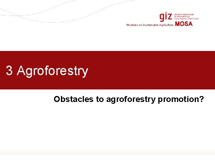 Modules on Sustainable Agriculture MOSA 3 Agroforestry Obstacles to agroforestry promotion? Page 19 