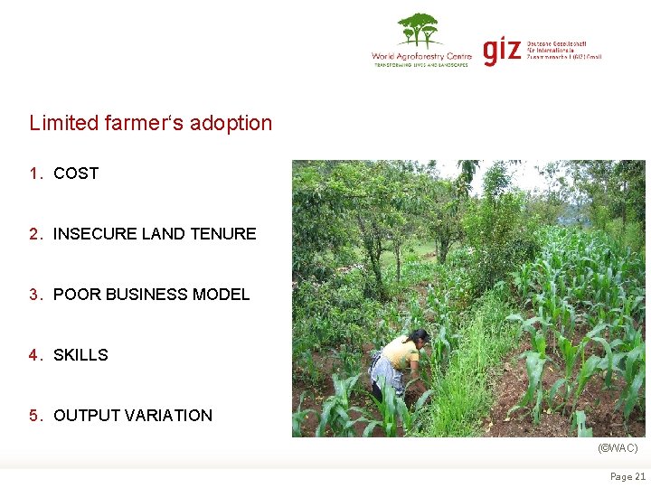 Limited farmer‘s adoption 1. COST 2. INSECURE LAND TENURE 3. POOR BUSINESS MODEL 4.