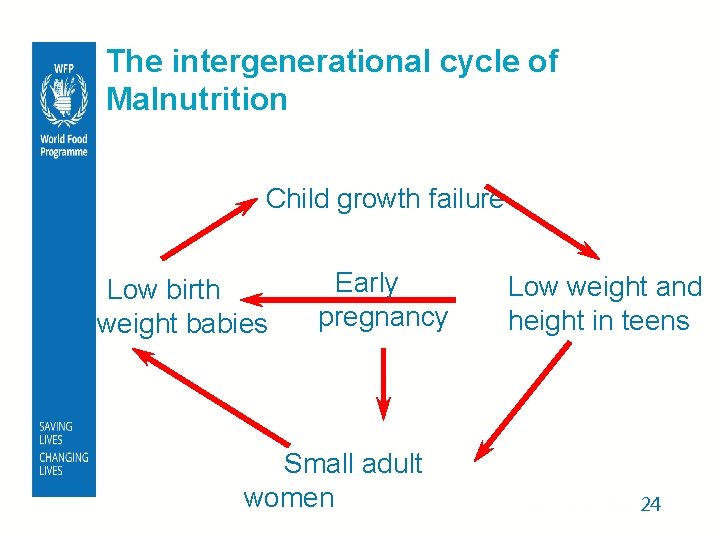 The intergenerational cycle of Malnutrition Child growth failure Low birth weight babies Early pregnancy