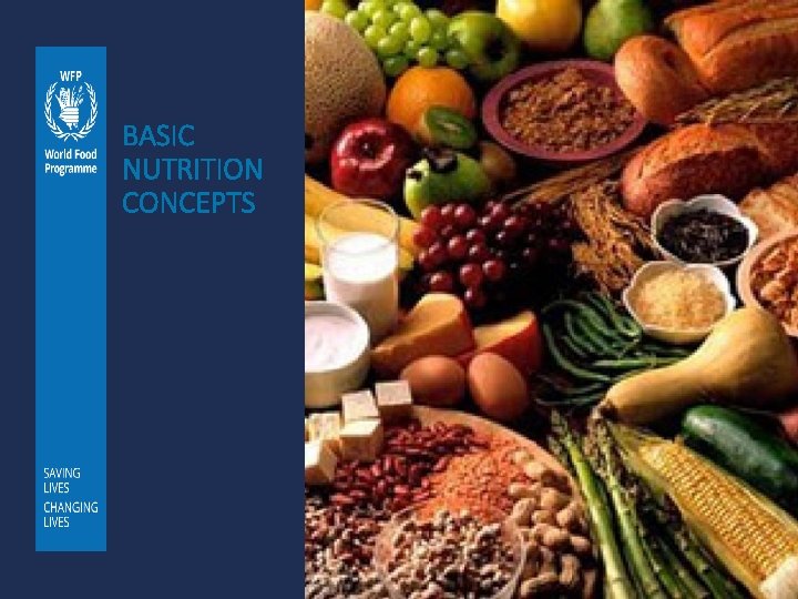 BASIC NUTRITION CONCEPTS 