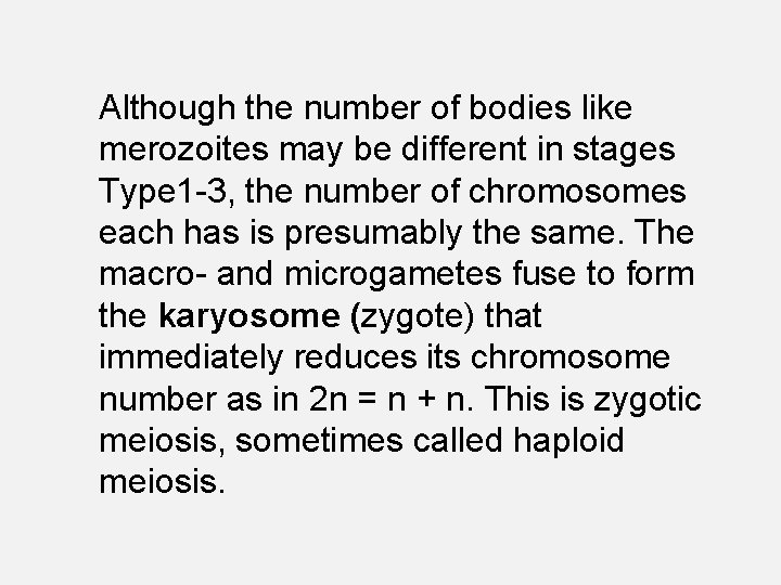 Although the number of bodies like merozoites may be different in stages Type 1