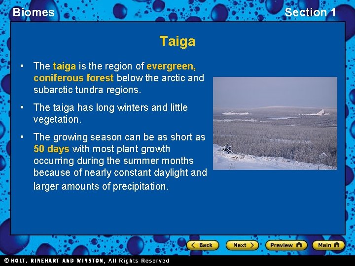 Biomes Section 1 Taiga • The taiga is the region of evergreen, coniferous forest Biomes Section 1 Taiga • The taiga is the region of evergreen, coniferous forest