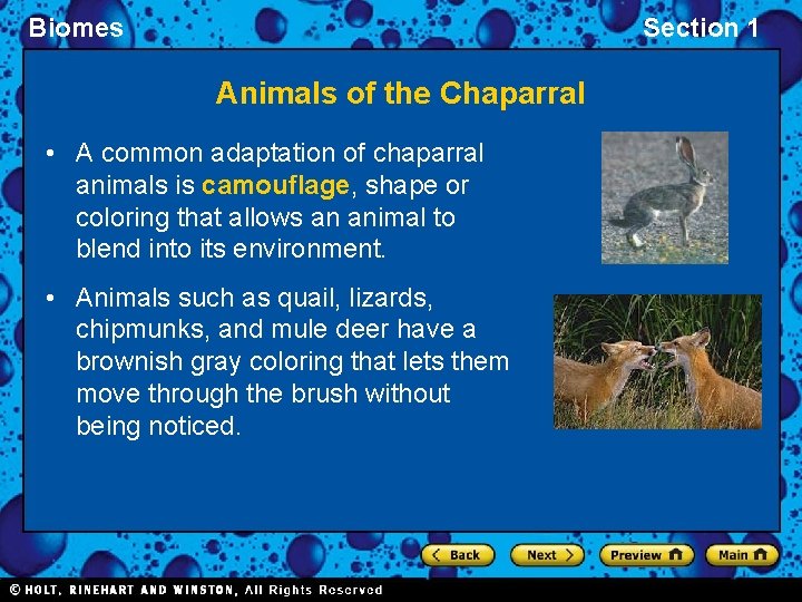 Biomes Section 1 Animals of the Chaparral • A common adaptation of chaparral animals Biomes Section 1 Animals of the Chaparral • A common adaptation of chaparral animals