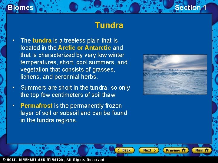 Biomes Section 1 Tundra • The tundra is a treeless plain that is located Biomes Section 1 Tundra • The tundra is a treeless plain that is located