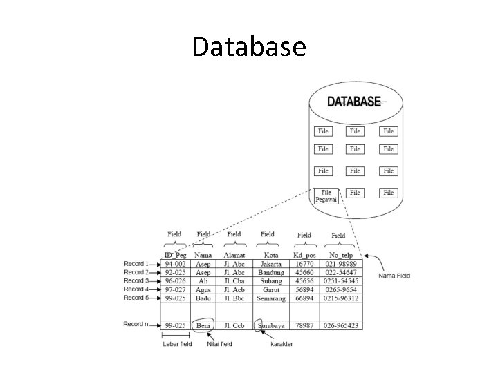 Database 