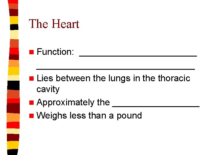 The Heart n Function: ___________________________ n Lies between the lungs in the thoracic cavity