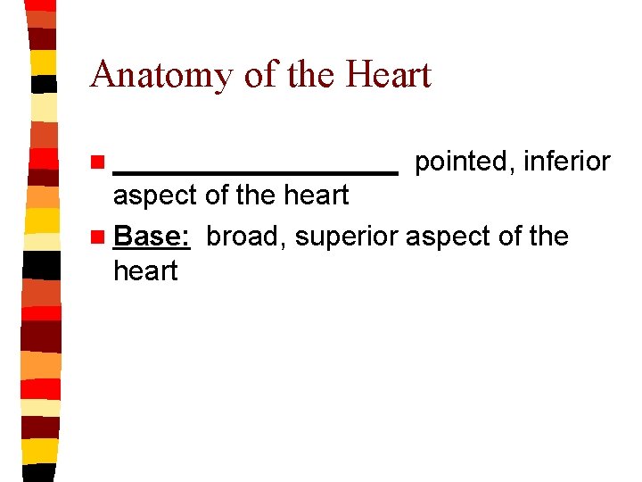 Anatomy of the Heart n _________ pointed, inferior aspect of the heart n Base: