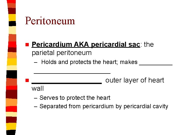 Peritoneum n Pericardium AKA pericardial sac: the parietal peritoneum – Holds and protects the