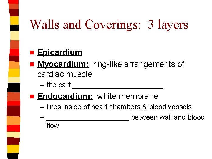 Walls and Coverings: 3 layers Epicardium n Myocardium: ring-like arrangements of cardiac muscle n