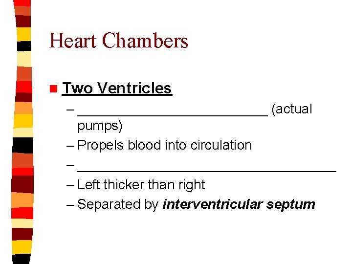 Heart Chambers n Two Ventricles – _____________ (actual pumps) – Propels blood into circulation