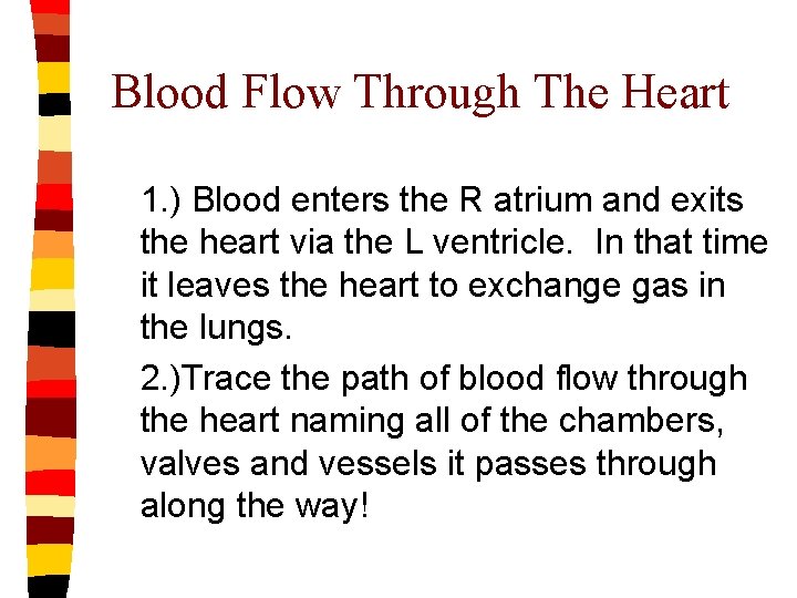 Blood Flow Through The Heart 1. ) Blood enters the R atrium and exits