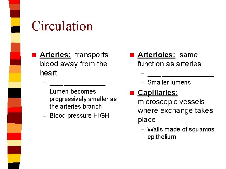 Circulation n Arteries: transports blood away from the heart – ________ – Lumen becomes