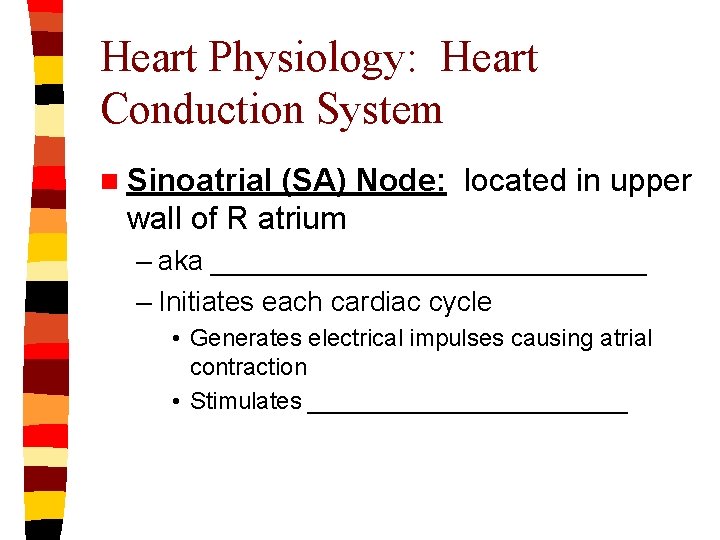 Heart Physiology: Heart Conduction System n Sinoatrial (SA) Node: located in upper wall of