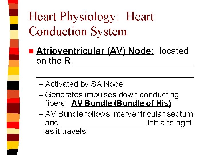 Heart Physiology: Heart Conduction System n Atrioventricular (AV) Node: located on the R, ___________________________