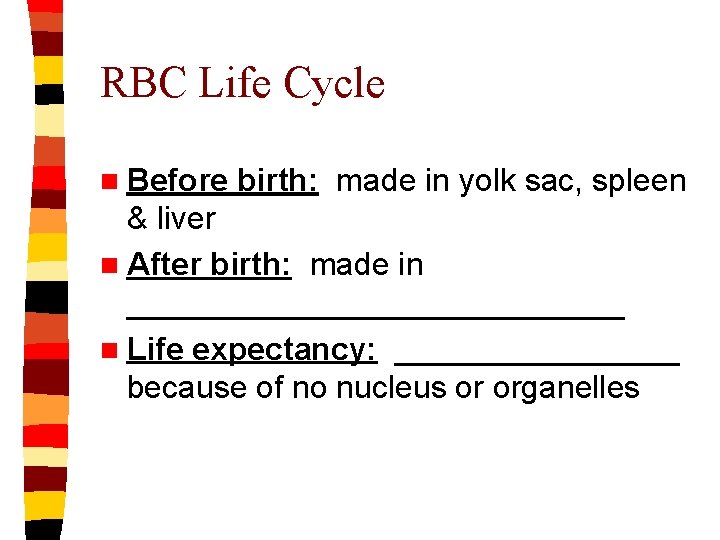 RBC Life Cycle n Before birth: made in yolk sac, spleen & liver n