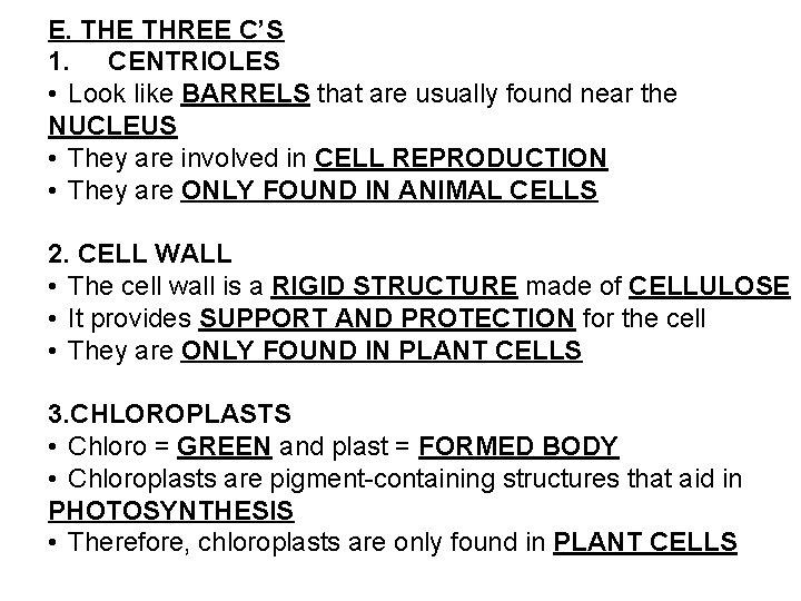 E. THE THREE C’S 1. CENTRIOLES • Look like BARRELS that are usually found