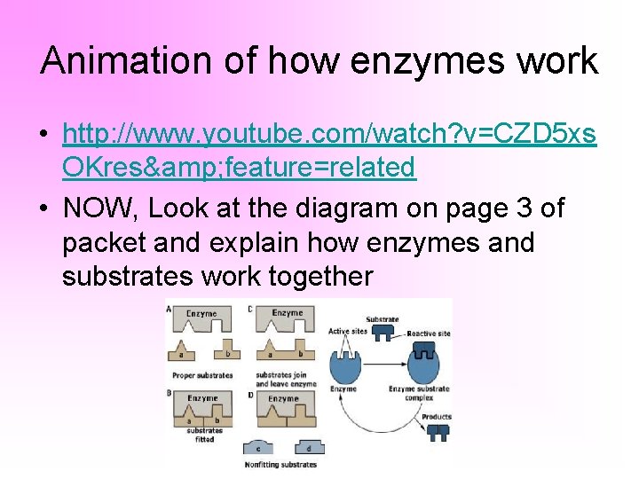 Animation of how enzymes work • http: //www. youtube. com/watch? v=CZD 5 xs OKres&