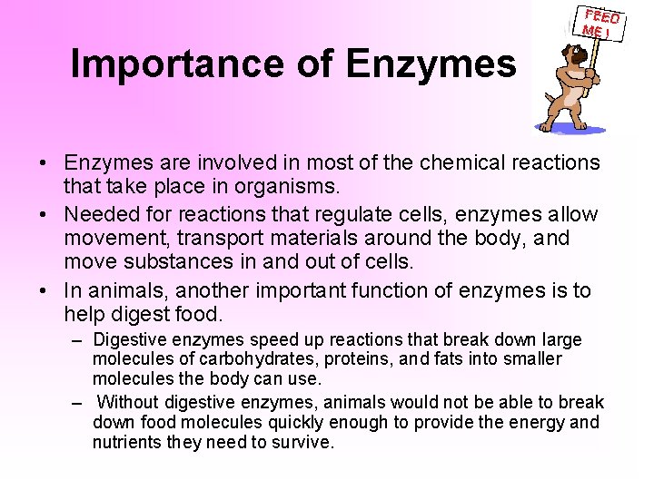 Importance of Enzymes • Enzymes are involved in most of the chemical reactions that