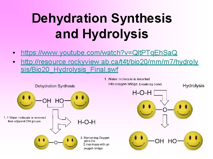 Dehydration Synthesis and Hydrolysis • https: //www. youtube. com/watch? v=Qlt. PTq. Eh. Sa. Q