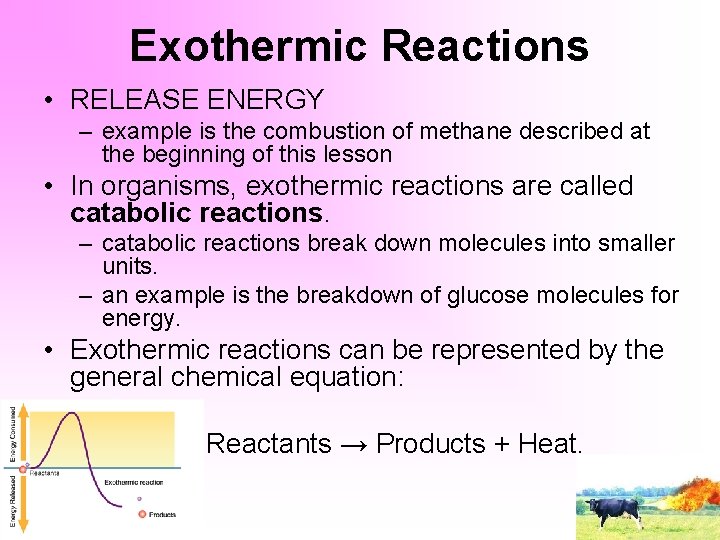 Exothermic Reactions • RELEASE ENERGY – example is the combustion of methane described at