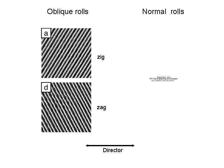 Oblique rolls Normal rolls zig zag Director 